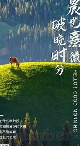丹麦和秘鲁世界杯排名-丹麦与秘鲁在世界杯的较量，足球舞台上的北欧神话与南美奇境
